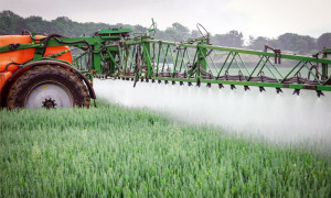 Oppose au choix de l'UE, la France se donne trois ans pour sortir du glyphosate